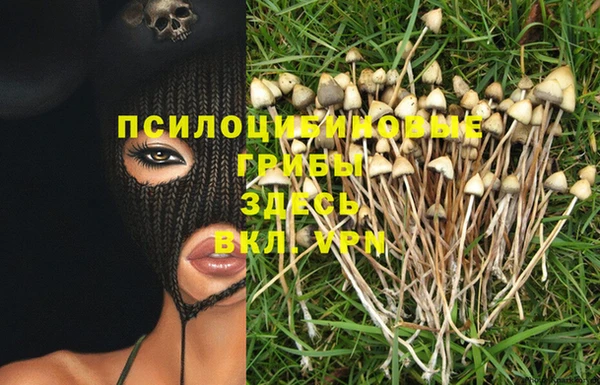 PSILOCYBIN Балабаново