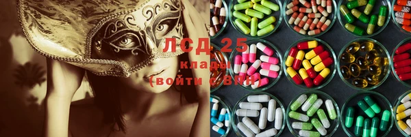 PSILOCYBIN Балабаново