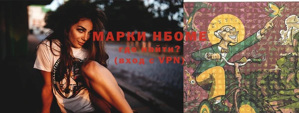 крисы Аркадак