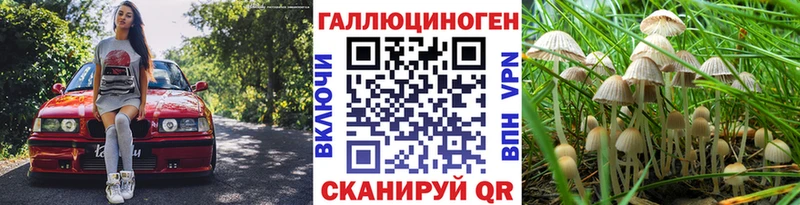 Псилоцибиновые грибы MAGIC MUSHROOMS  Новый Уренгой 