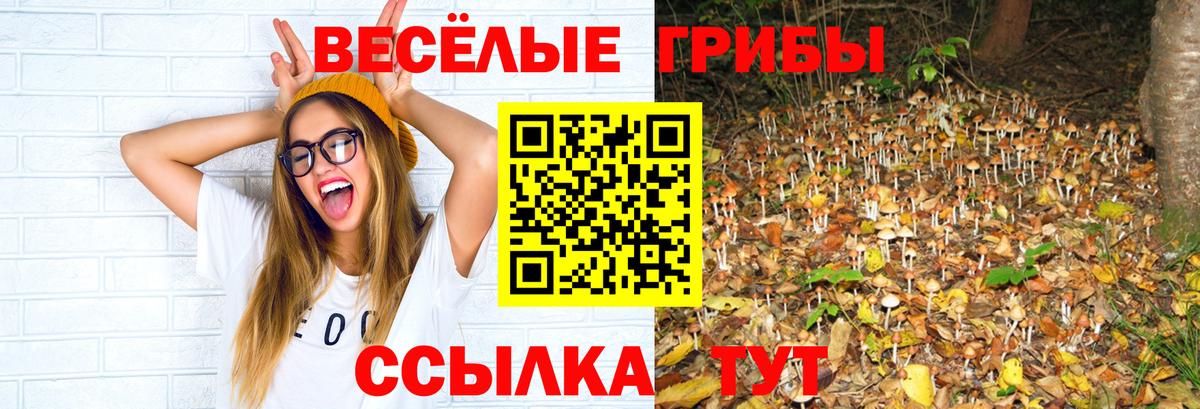 наркошоп  Псилоцибиновые грибы мицелий  Вход с VPN  Галлюциногенные грибы мицелий  Новый Уренгой 