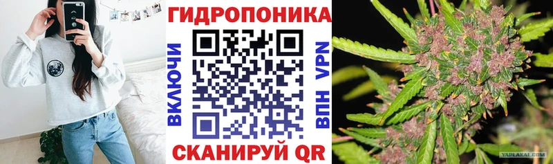где можно купить   гидра ТОР  Бошки марихуана план  Новый Уренгой 